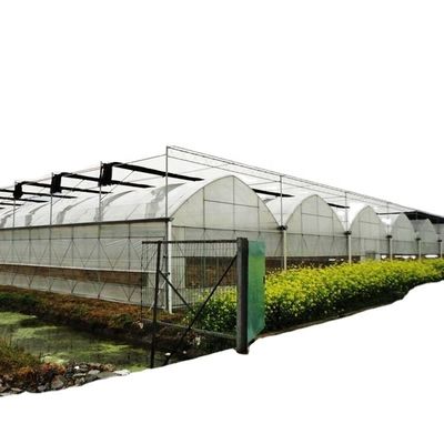 Serre agricole a doppio o a singolo strato a più intervalli per agricoltura personalizzabile