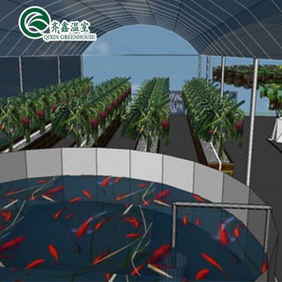 Serra agricola mono strato torre giardino per Aduaponics economica