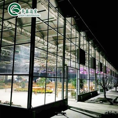 Struttura in acciaio galvanizzato Serra di vetro Venlo per la coltivazione di ortaggi frutti fiori