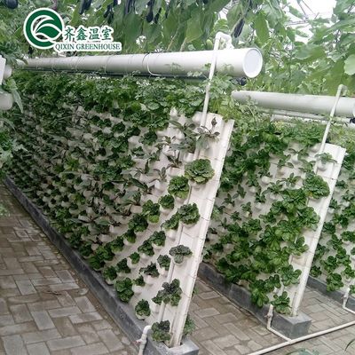 Potenziare il raccolto delle patate Grandi tubi di plastica Serre agricole multi-span