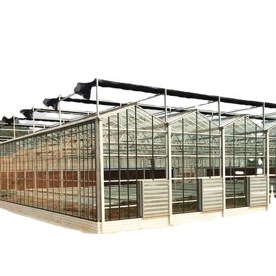 3.8m-9.8m Altezza della cresta Serra solare in vetro per le esigenze dei clienti