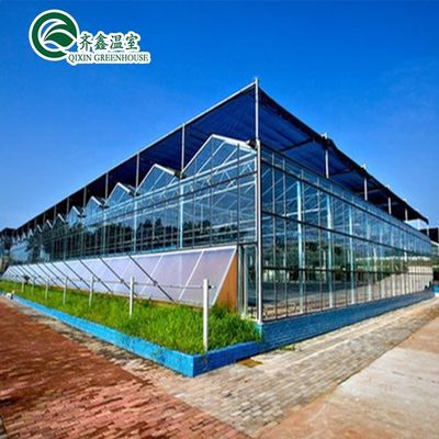 Grandi serre da giardino coperte di vetro per opzioni di piantagione versatili