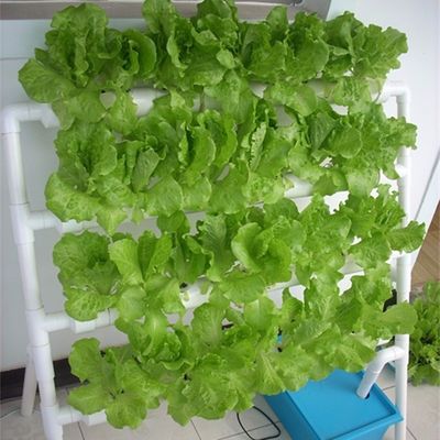 PO La soluzione definitiva per l'agricoltura verticale in serre agricole multi-span