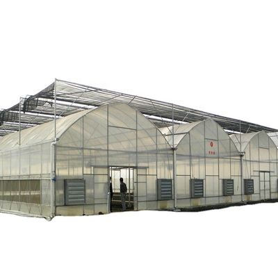 Rivoluzionare l'agricoltura all'interno e all'esterno Sistema di ombra per serra idroponica