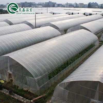 Dimensioni personalizzabili Tonnello alto Serra di pellicola di plastica agricola a singolo tratto per la vendita