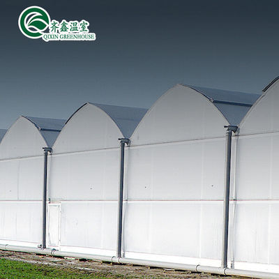 Casella di controllo automatico Serra a pellicola acquaponica per animali Tenda di coltivazione Dimensioni personalizzabili