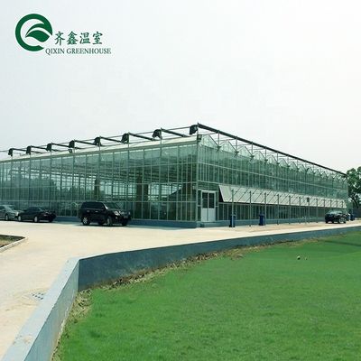 Grande serra in vetro per l'agricoltura su misura con sistema di scarico idroponico in PVC