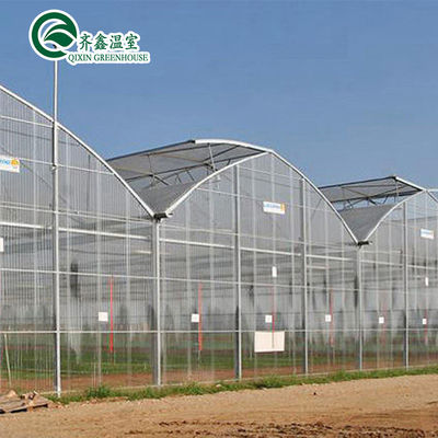 Serra per pomodori favorevole alla ventilazione con secchio olandese e film di plastica