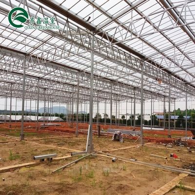 Serre agricole multi-span Rifugio da pioggia prefabbricato per la coltivazione di pomodori