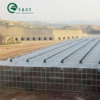Serre agricole multi-span Rifugio da pioggia prefabbricato per la coltivazione di pomodori