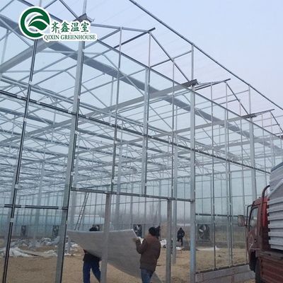 Serre agricole multi-span Rifugio da pioggia prefabbricato per la coltivazione di pomodori