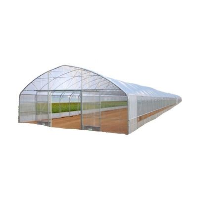 Serra tunnel Scegliere dimensioni personalizzabili Serre agricole a singolo tratto oggi