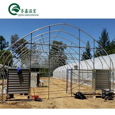 Serra tunnel Scegliere dimensioni personalizzabili Serre agricole a singolo tratto oggi