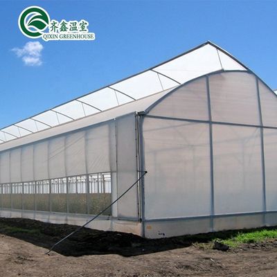 Serra tunnel Scegliere dimensioni personalizzabili Serre agricole a singolo tratto oggi