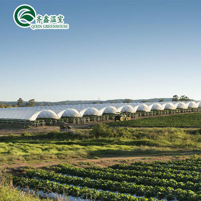 Sistemi di tubazione idroponici verticali per l'agricoltura a serra