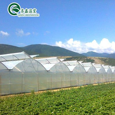 Sistemi di tubazione idroponici verticali per l'agricoltura a serra