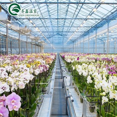 Serre a copertura di pellicola per la coltivazione a strato singolo di ortaggi frutta e fiori