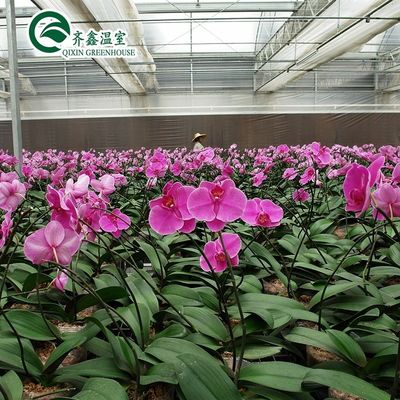 Sistema commerciale di acquari acquaponici Serre PO prefabbricate per verdure