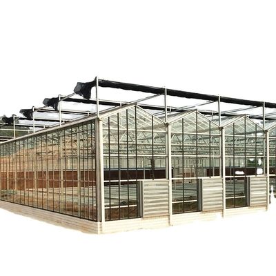 Grande serra in vetro per l'agricoltura su misura con sistema di scarico idroponico in PVC