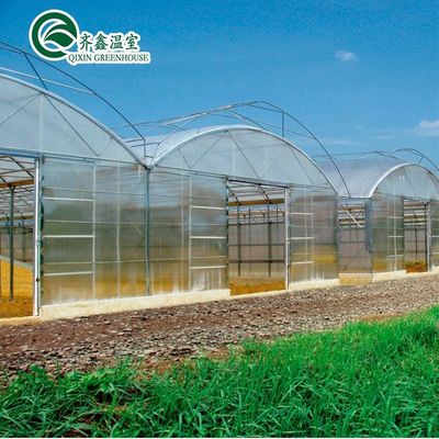 Serre agricole a doppio o a singolo strato a più intervalli per agricoltura personalizzabile
