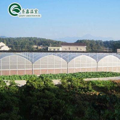 Serre agricole a doppio o a singolo strato a più intervalli per agricoltura personalizzabile