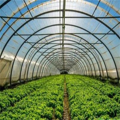 Copertina del film Serra agricola a uno strato per un'agricoltura sostenibile