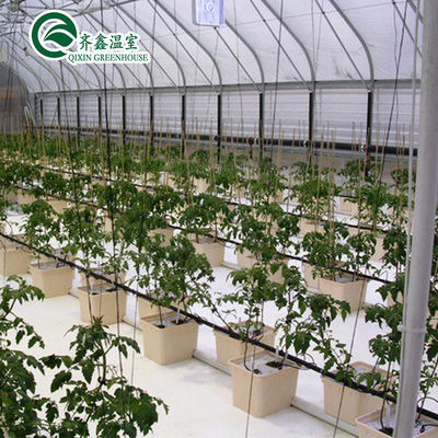 Serre agricole multi-span con sistemi di coltivazione idroponica in contenitori usati