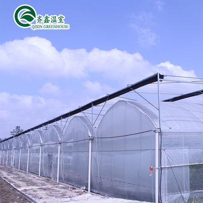 Serre agricole multi-span con sistemi di coltivazione idroponica in contenitori usati