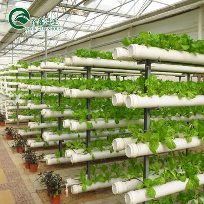 Sistema idroponico verticale coperto di vetro per la coltivazione di ortaggi, frutti e fiori