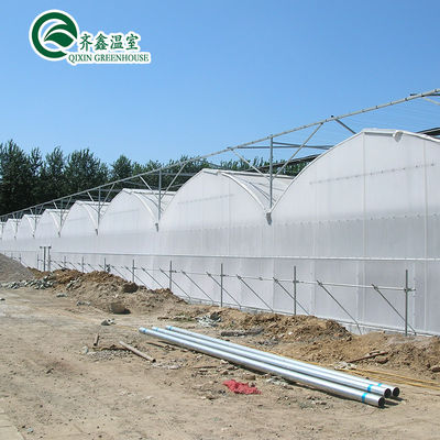 Serre agricole multi-span con sistemi di coltivazione idroponica in contenitori usati