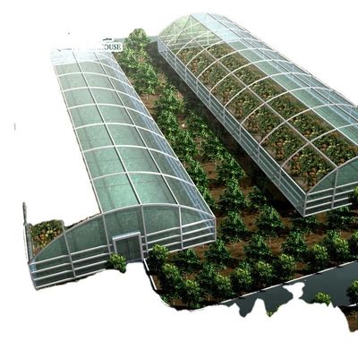 Coltivate le vostre verdure frutta e fiori con la nostra serra commerciale Filippine