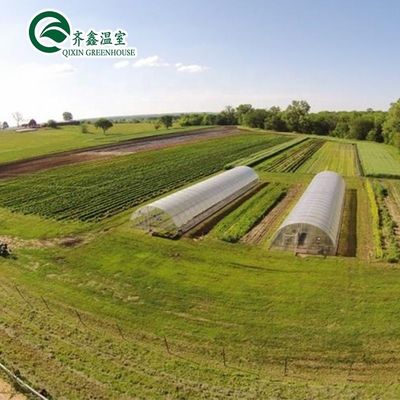 Coltivate le vostre verdure frutta e fiori con la nostra serra commerciale Filippine