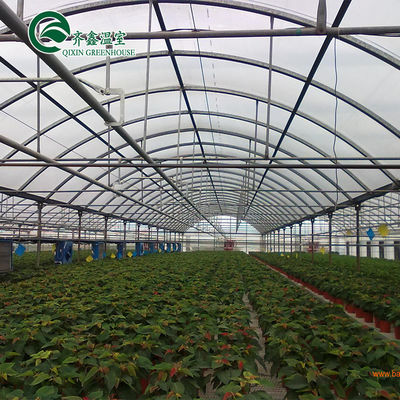 Ortaggi Frutta Fiori Pomodori Fogli PC Serre per ristoranti ecologici