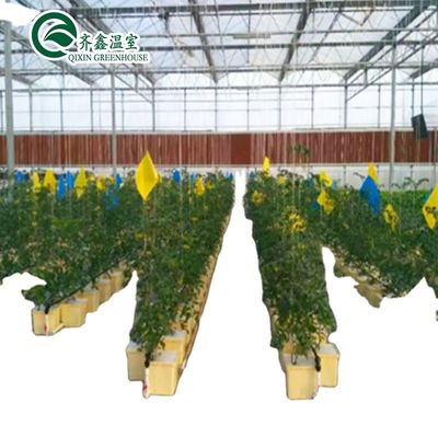 PO Torre Giardino per ortaggi Frutta Fiori Serra agricola economica