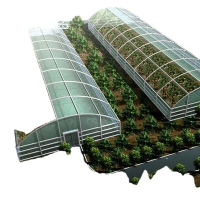 Sistema commerciale di acquari acquaponici Serre PO prefabbricate per verdure