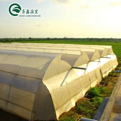 Contenitore usato Pomodoro Materiale in serra PE Sistema di ventilazione opzionale