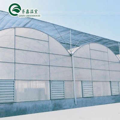 Contenitore usato Pomodoro Materiale in serra PE Sistema di ventilazione opzionale