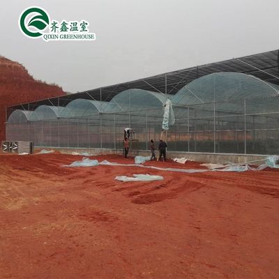 Contenitore usato Pomodoro Materiale in serra PE Sistema di ventilazione opzionale