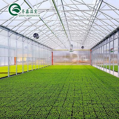 Serre a foglio di policarbonato commerciale a strato singolo per l'agricoltura