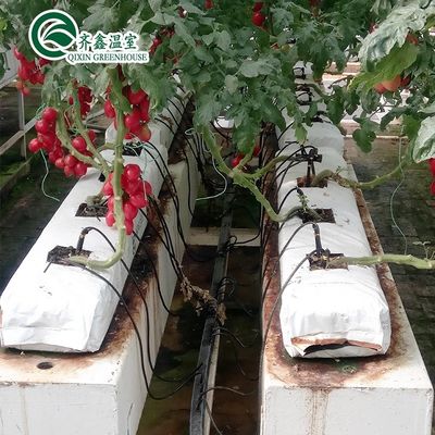 PO Torre Giardino per ortaggi Frutta Fiori Serra agricola economica