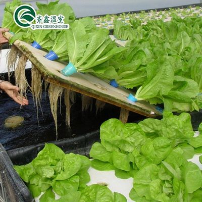 PO Torre Giardino per ortaggi Frutta Fiori Serra agricola economica