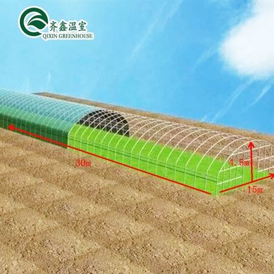 Serre agricole a un'unica estensione con rivestimento a pellicola