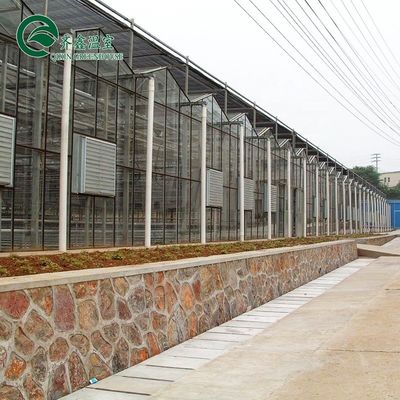 Serre agricole multi-span coprendo la parte superiore con vetro temperato o foglio PC