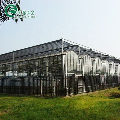 Serre agricole multi-span coprendo la parte superiore con vetro temperato o foglio PC