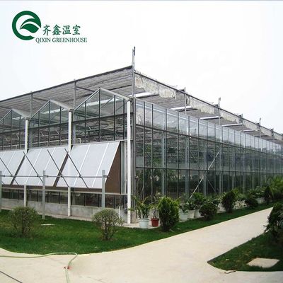 Serre agricole multi-span coprendo la parte superiore con vetro temperato o foglio PC