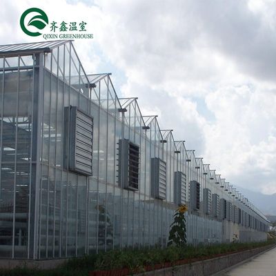 Serre agricole multi-span coprendo la parte superiore con vetro temperato o foglio PC