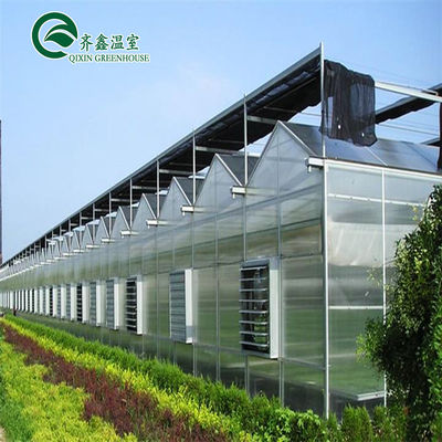 Venlo Multi-Span Greenhouse migliora l'agricoltura con sistema di ombreggiamento interno ed esterno