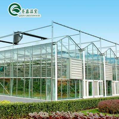 Venlo Multi-Span Greenhouse migliora l'agricoltura con sistema di ombreggiamento interno ed esterno