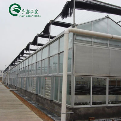 Venlo Multi-Span Greenhouse migliora l'agricoltura con sistema di ombreggiamento interno ed esterno