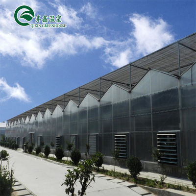 Venlo Multi-Span Greenhouse migliora l'agricoltura con sistema di ombreggiamento interno ed esterno